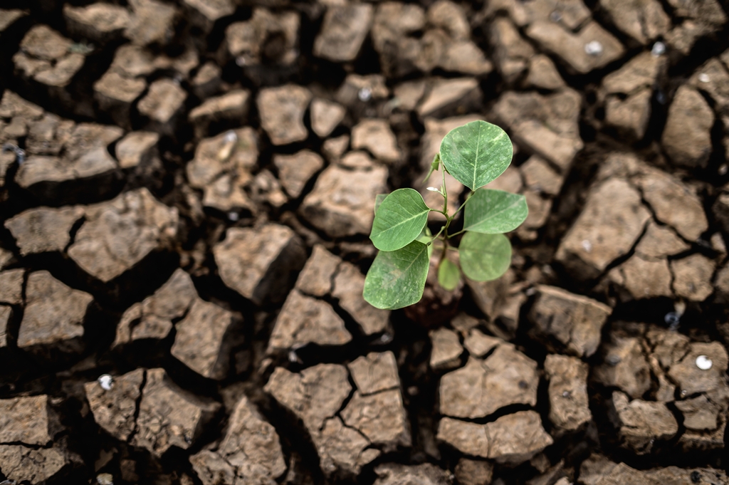 Pesquisa da UFMA revela os impactos da mudança climática no Maranhão e a previsão para os próximos anos