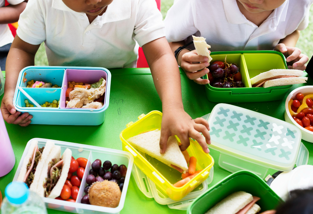 Reforço na lancheira: nutricionista dá dicas de lanches que garantem concentração e energia no retorno escolar